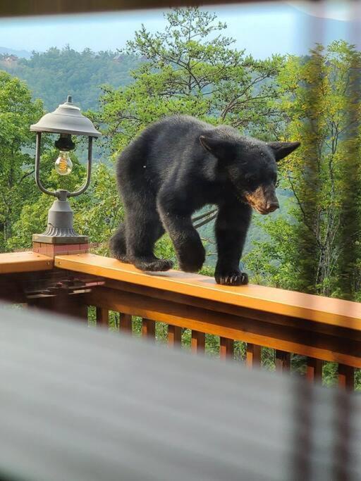 Yogi'S Den: Breathtaking Views! 3 Min To Dollywood, On 1 Acre! Sevierville Exterior foto